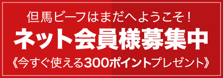 ネット会員様募集中《今すぐ使える300ポイントプレゼント》