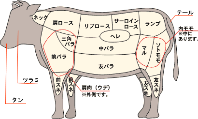 精肉 ホルモンの部位解説 但馬牛 和牛の通販 但馬ビーフはまだ